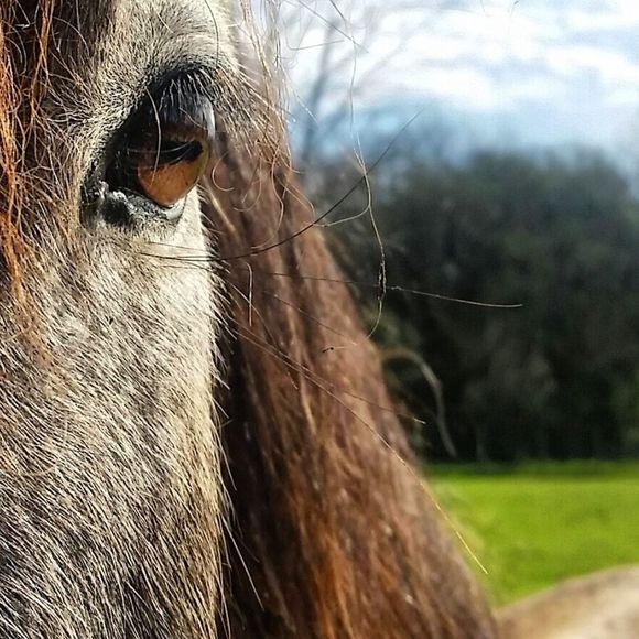 Meet your Posher, Leslie - Picture 1 of 3